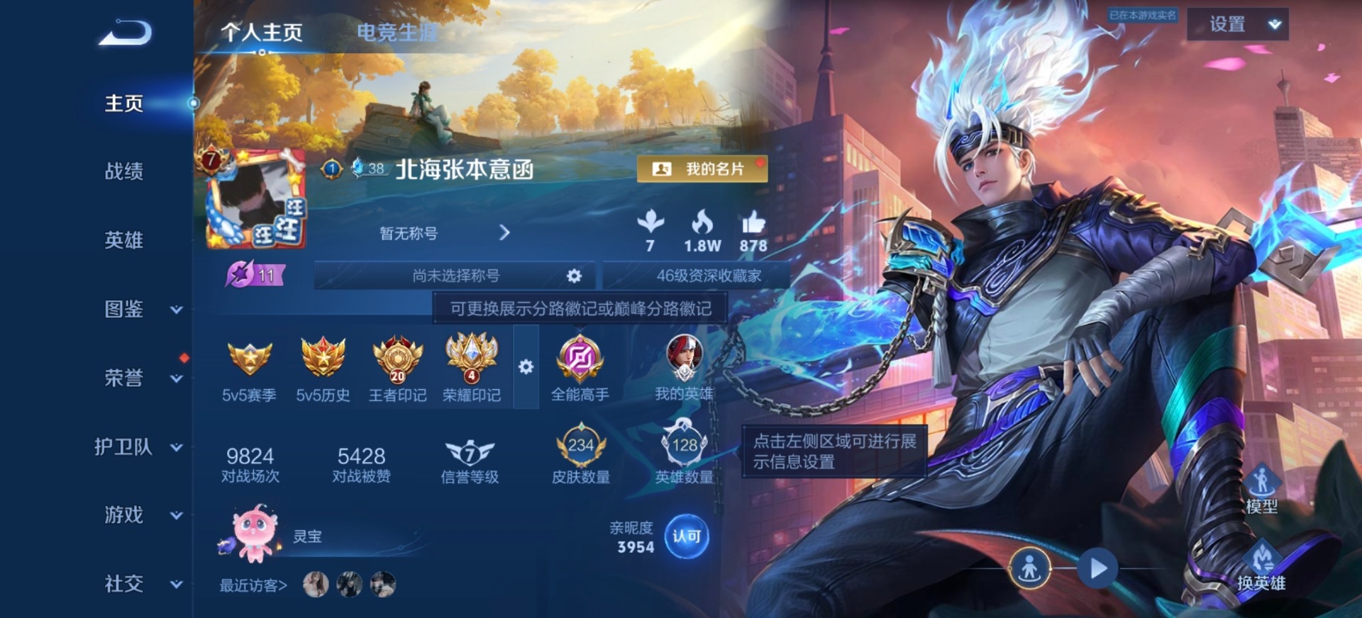 WZLX4320030王者荣耀账号详情图13