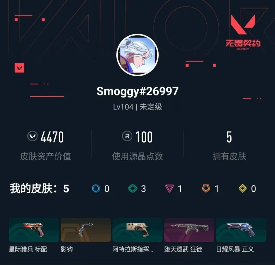 WWQLX431323无畏契约账号详情图5