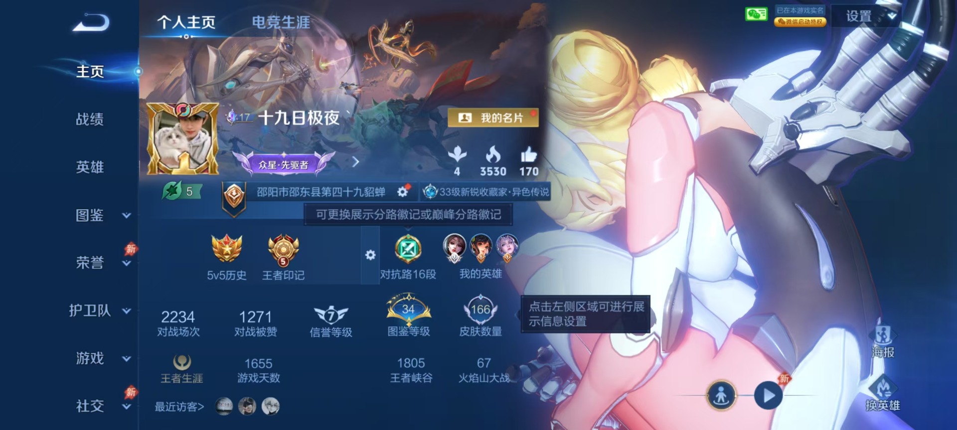 WZQM4306638王者荣耀账号详情图3