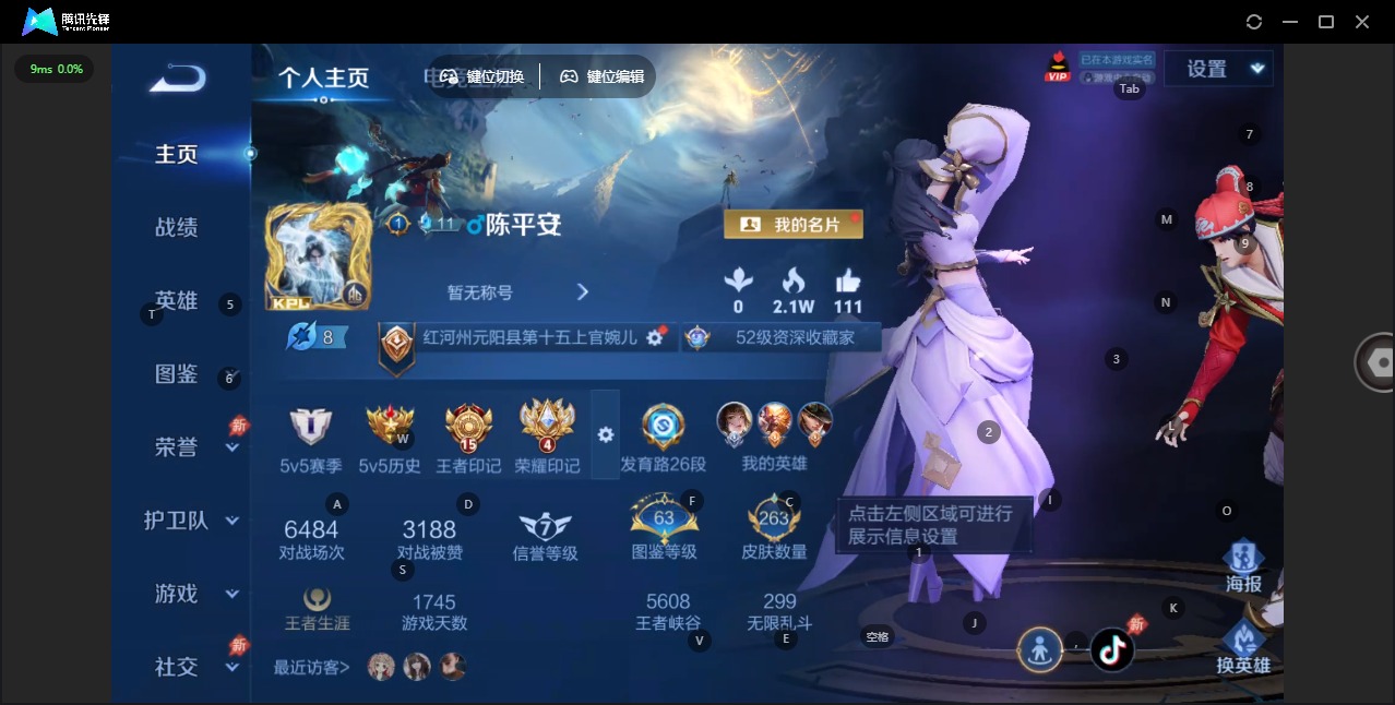 WZLX4306608王者荣耀账号详情图18