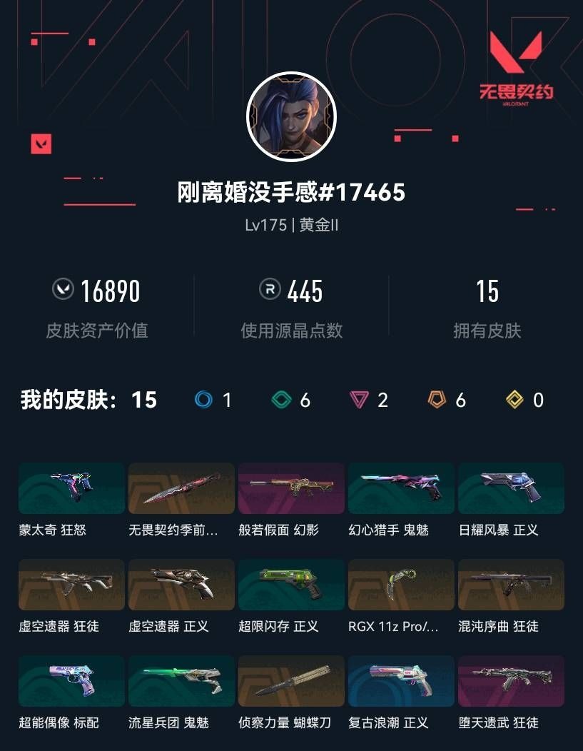 WWQLX451203无畏契约账号详情图3
