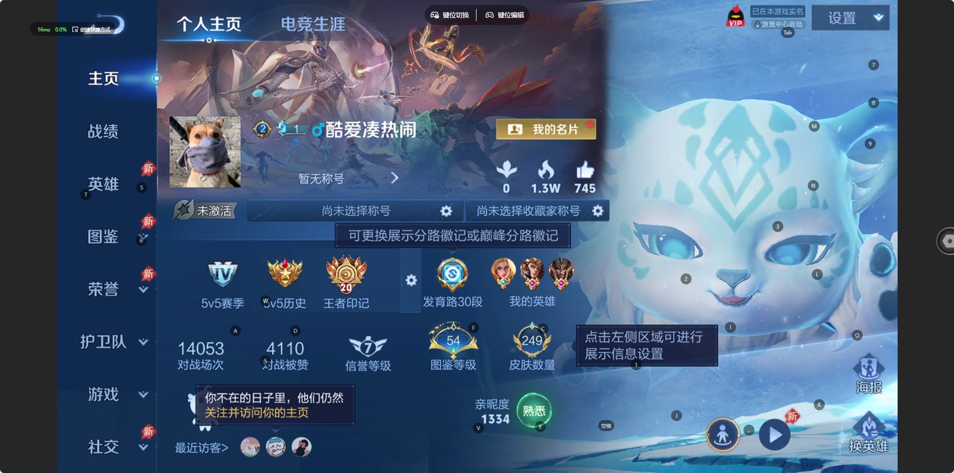 WZLX4316973王者荣耀账号详情图9