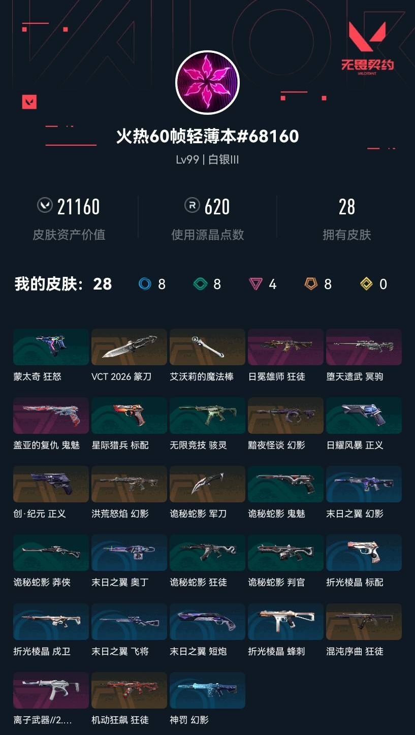 WWQLX435271无畏契约账号详情图3