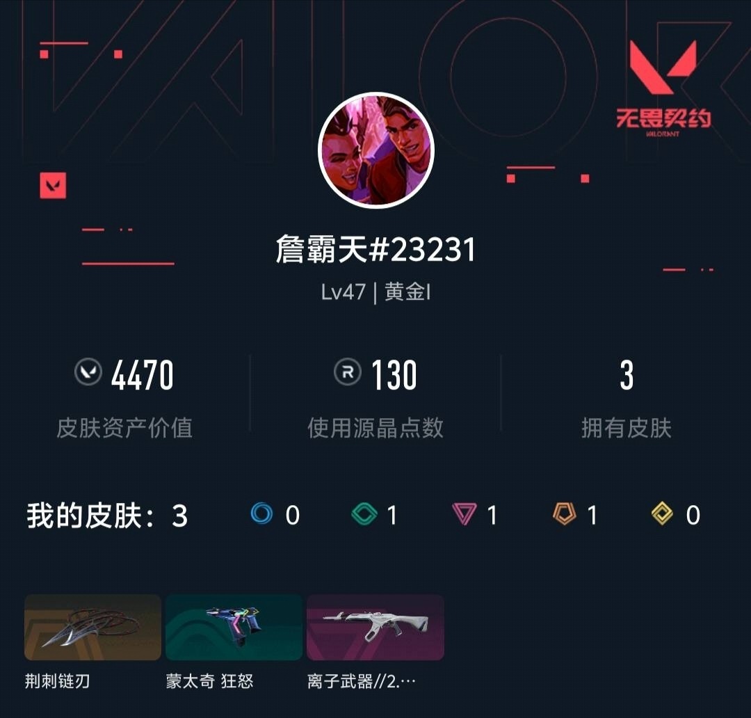 WWQLX433682无畏契约账号详情图2