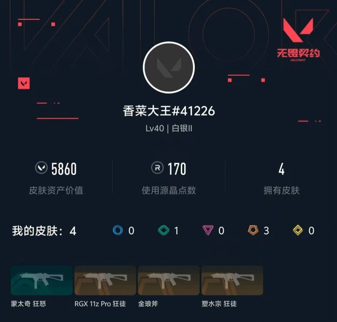 WWQLX433716无畏契约账号详情图2 WWQLX433716无畏契约账号详情图2