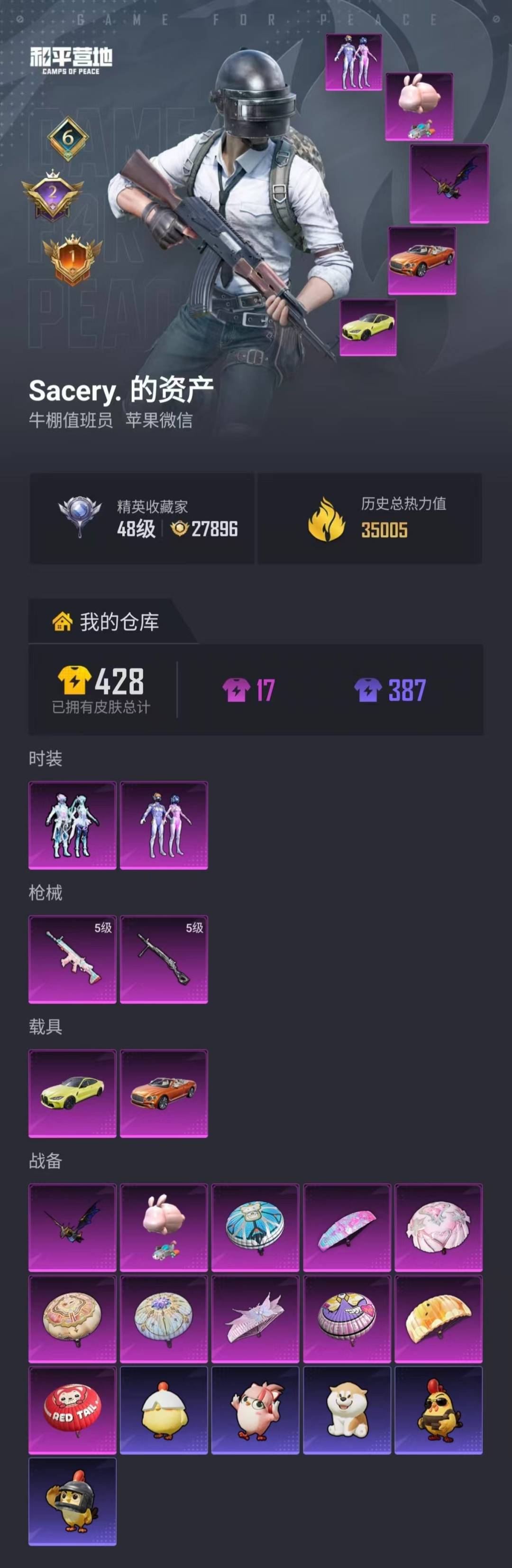 HPLX4184876和平精英账号详情图6