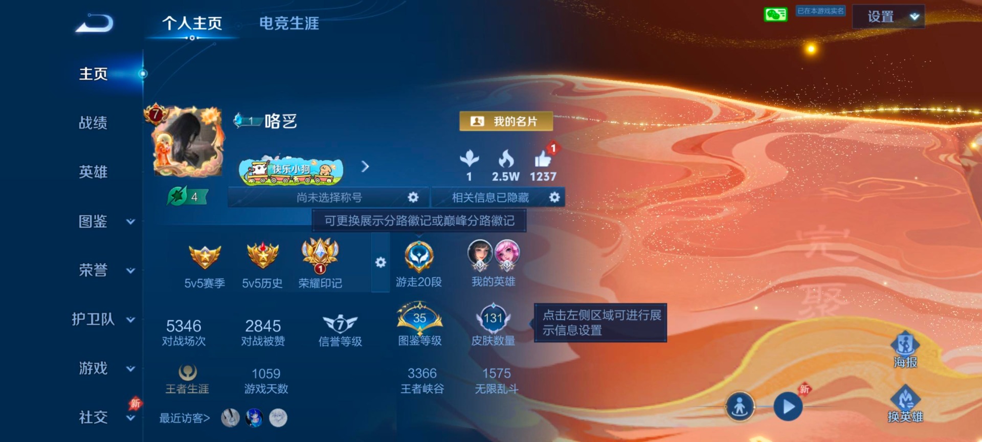 WZLX4339853王者荣耀账号详情图11