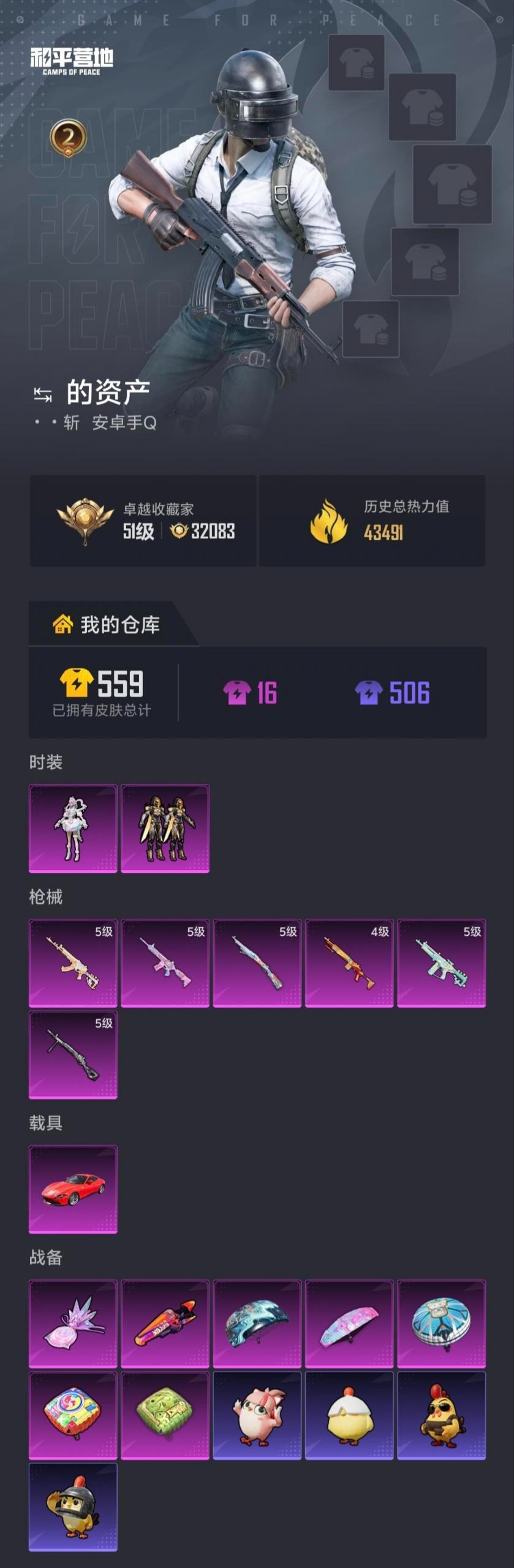 HPLX4233704和平精英账号详情图5 HPLX4233704和平精英账号详情图5