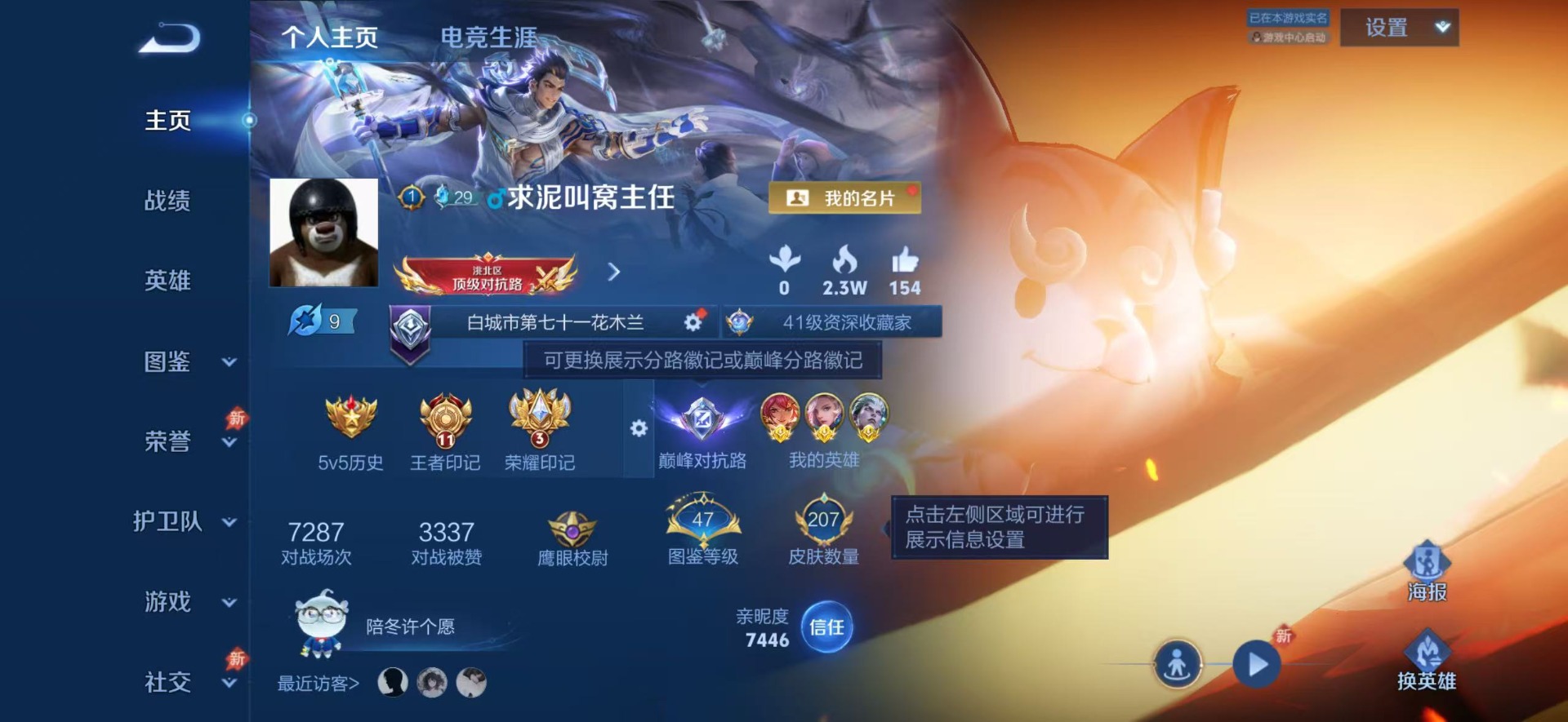 WZQM4340935王者荣耀账号详情图12
