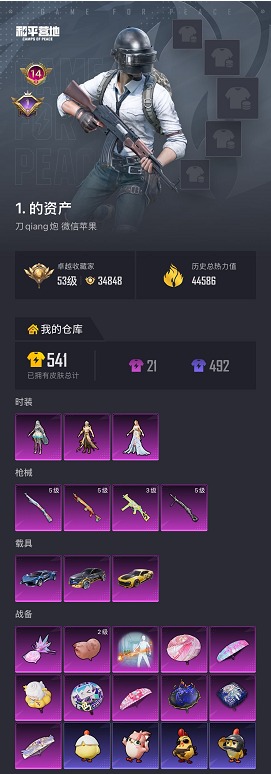 HPLX4189304和平精英账号详情图26 HPLX4189304和平精英账号详情图26