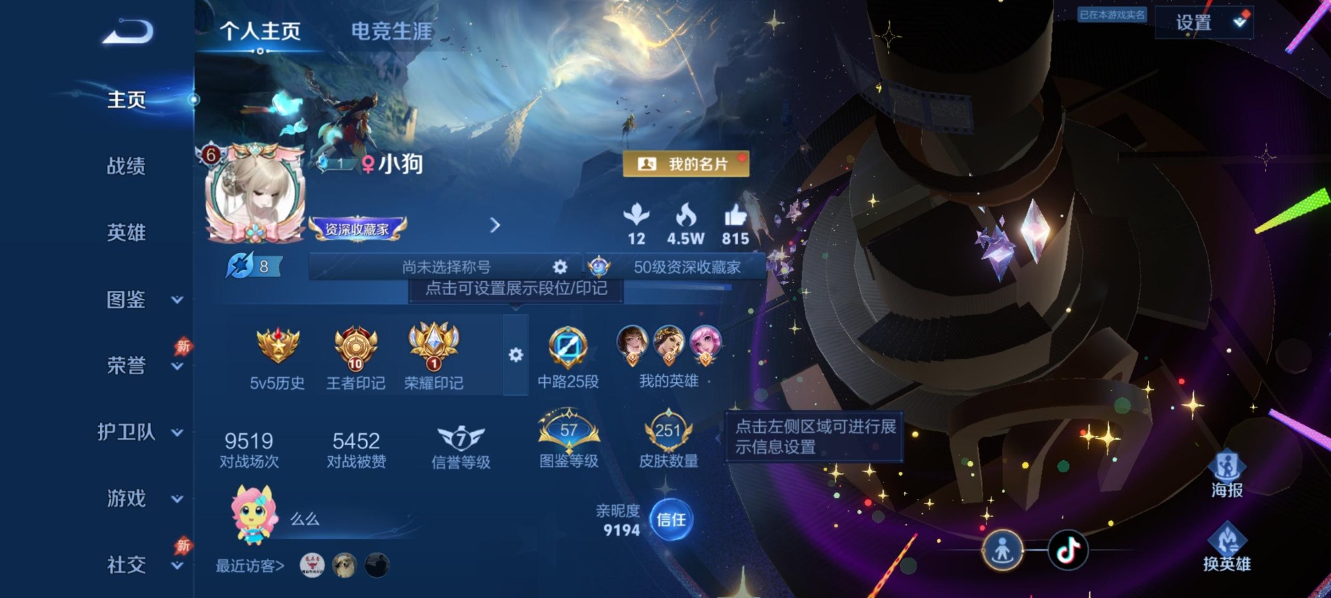 WZLX4329358王者荣耀账号详情图9