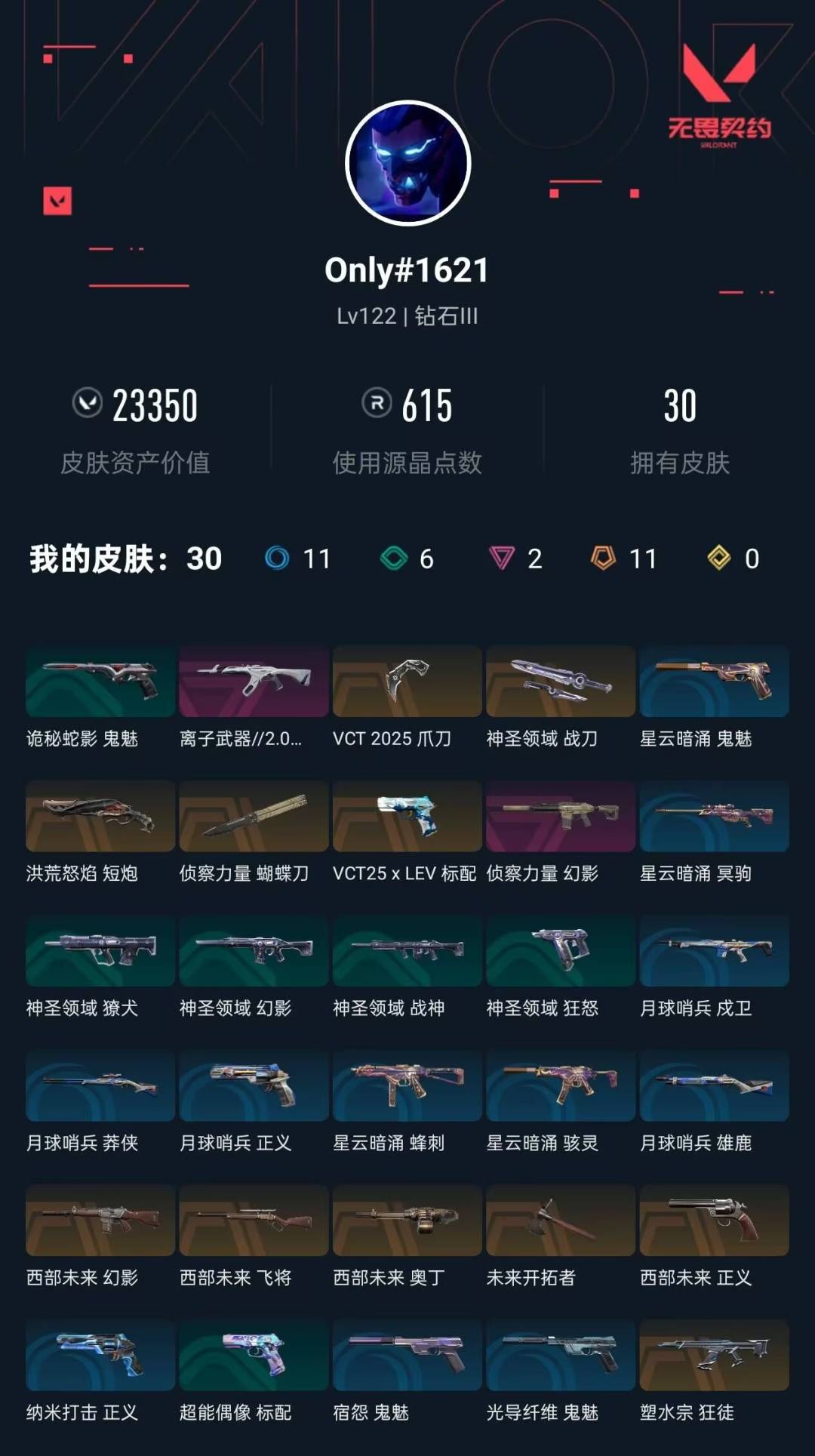 WWQLX435356无畏契约账号详情图6