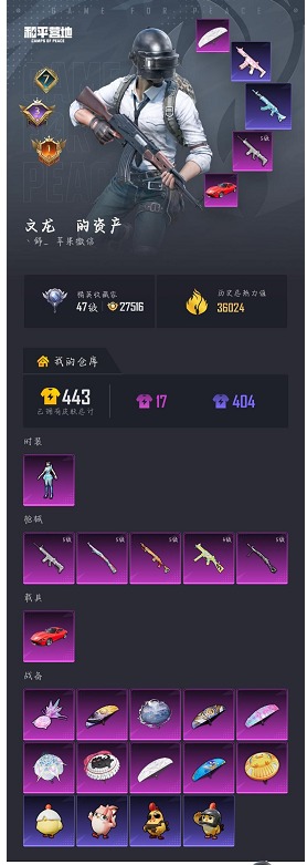 HPQM4250552和平精英账号详情图19 HPQM4250552和平精英账号详情图19