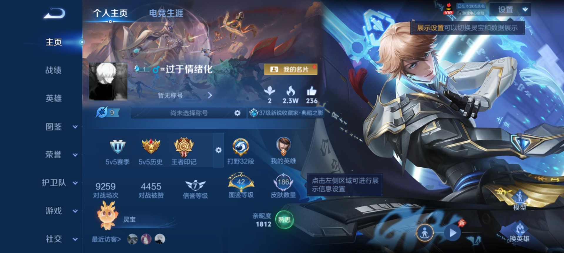 WZLX4335925王者荣耀账号详情图12