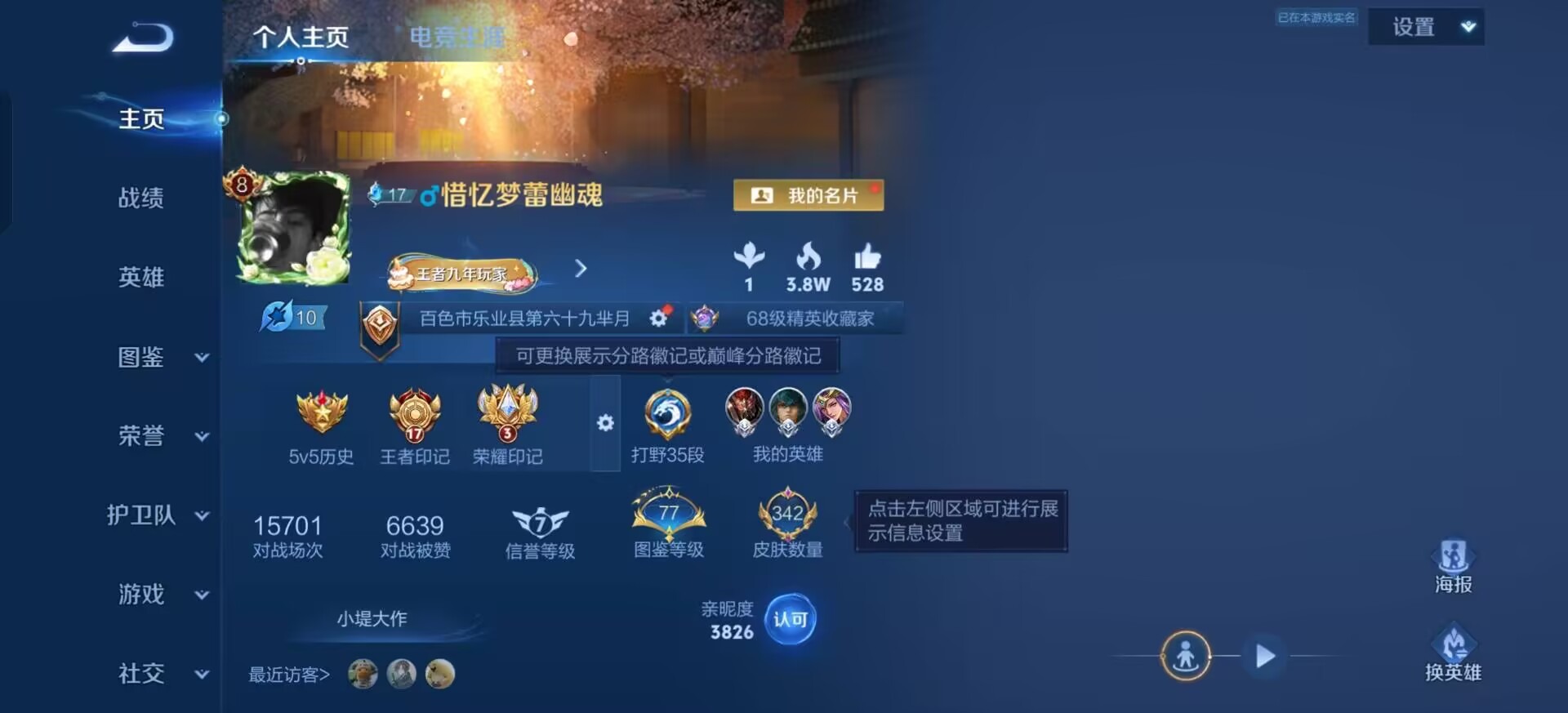WZLX4335981王者荣耀账号详情图15