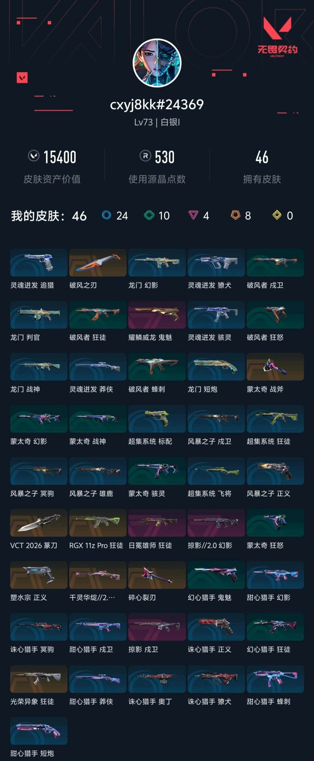 WWQLX436256无畏契约账号详情图3
