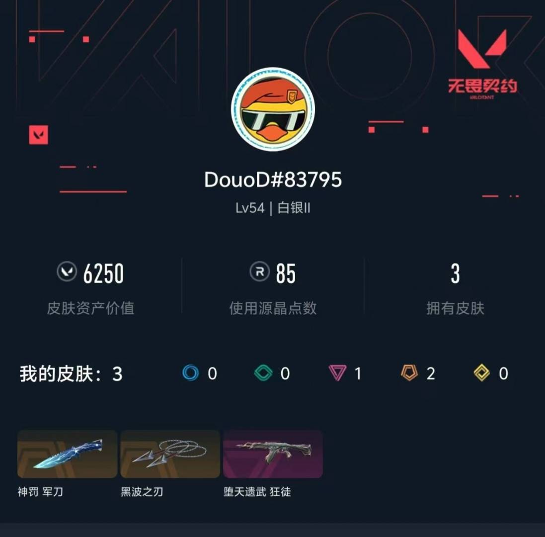 WWQLX436838无畏契约账号详情图2 WWQLX436838无畏契约账号详情图2