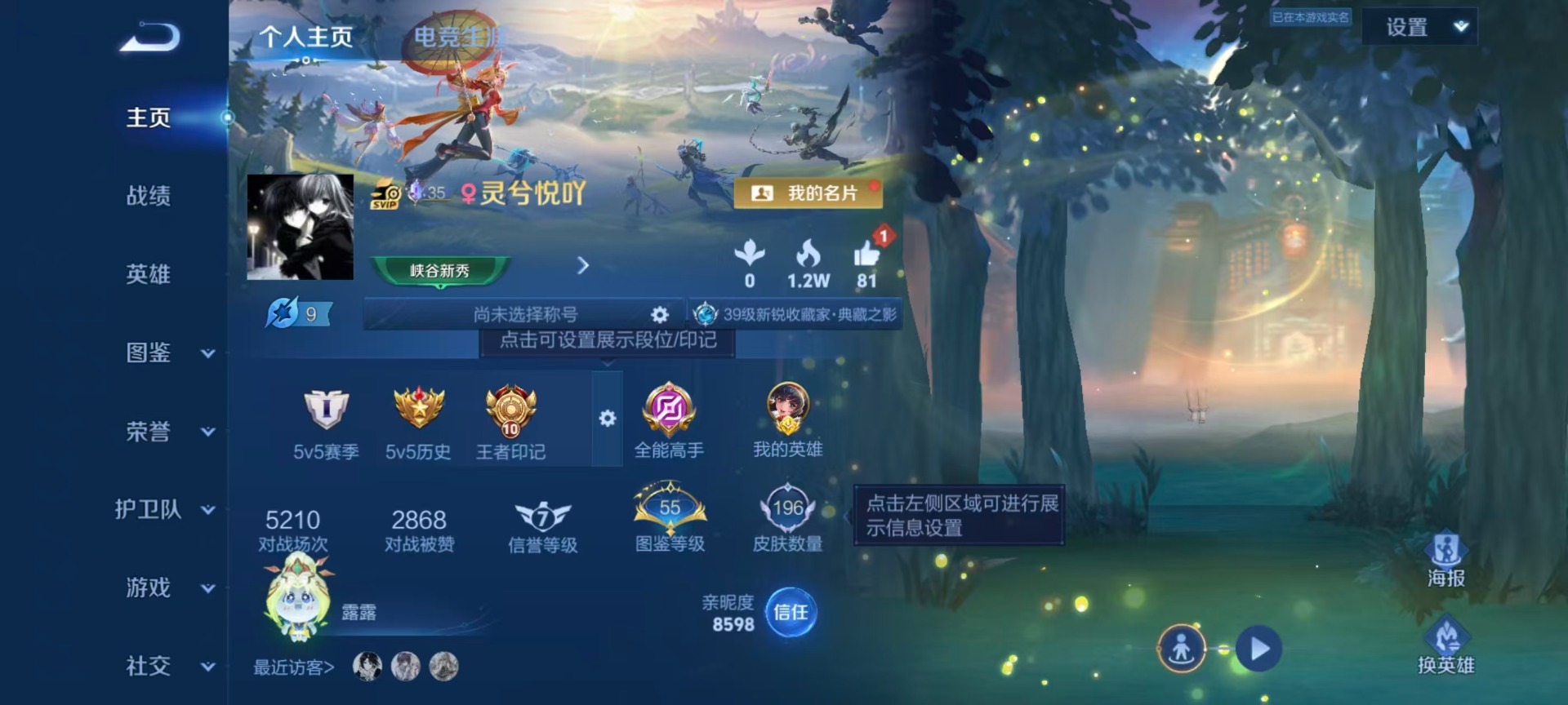 WZQM4360672王者荣耀账号详情图21