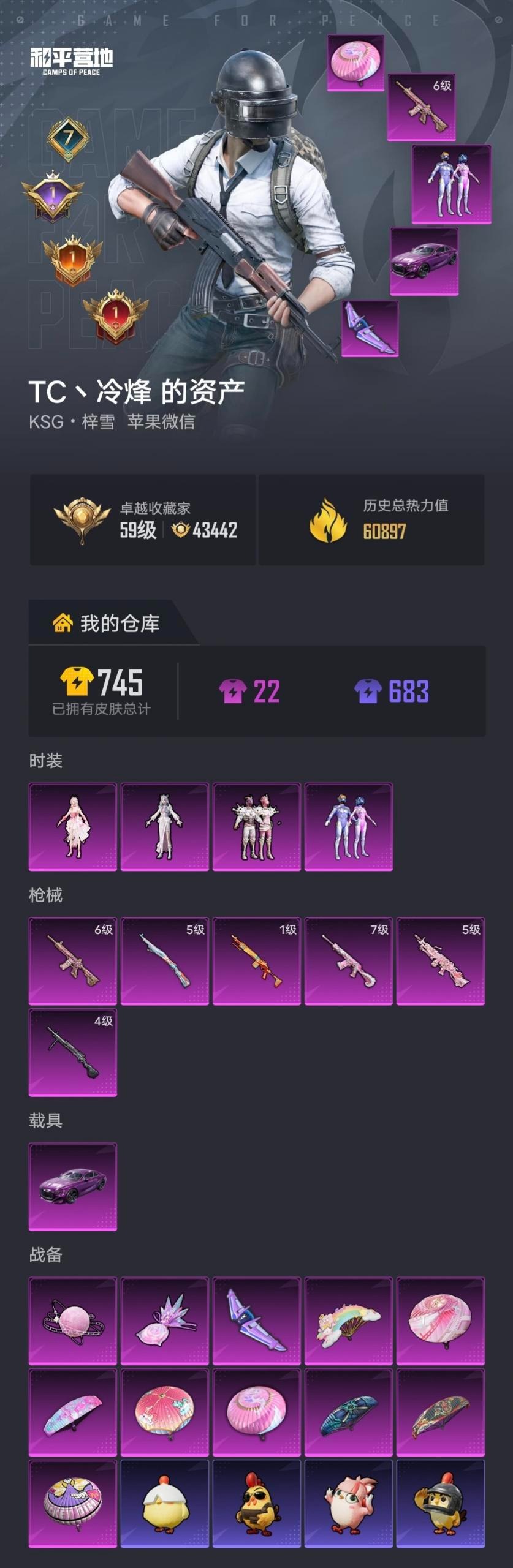 HPLX4220669和平精英账号详情图16 HPLX4220669和平精英账号详情图16