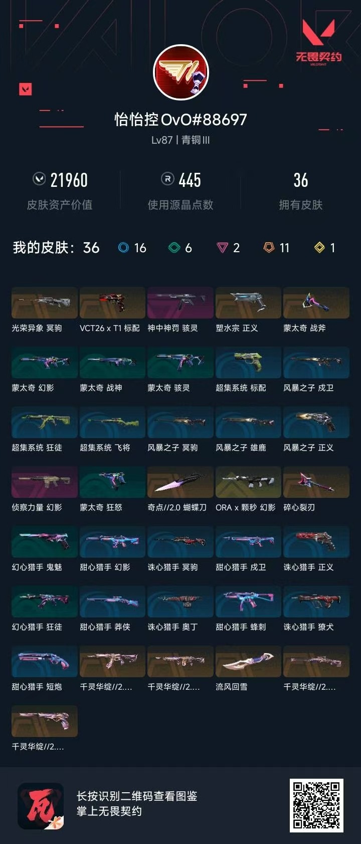 WWQLX438515无畏契约账号详情图5