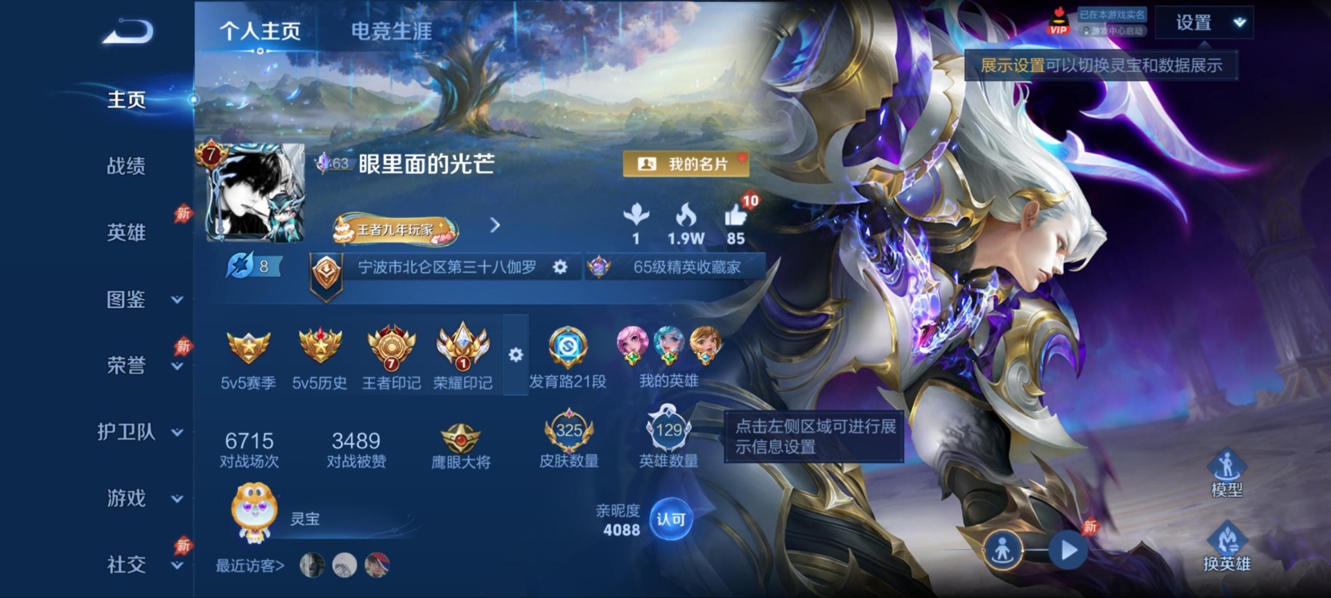 WZLX4344301王者荣耀账号详情图17