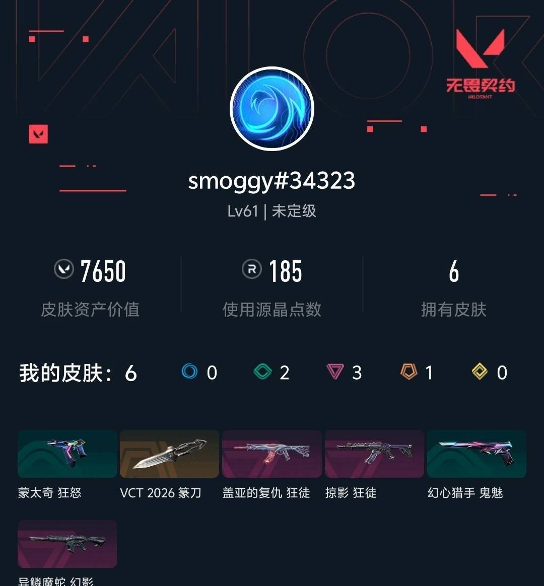 WWQLX443775无畏契约账号详情图6