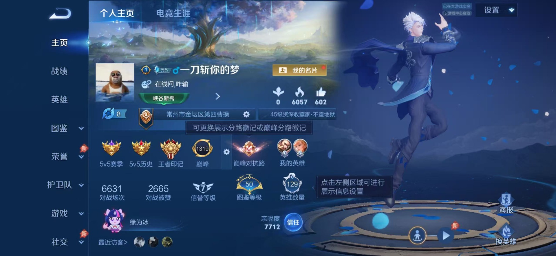 WZLX4376320王者荣耀账号详情图11