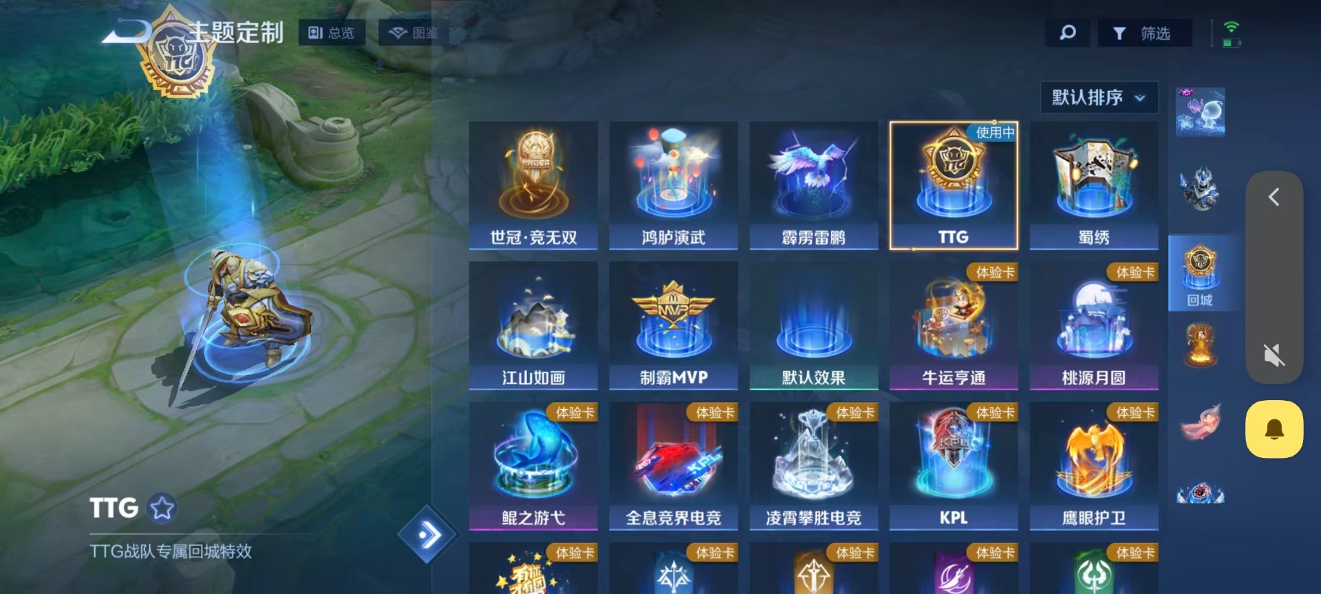 WZLX4348355王者荣耀账号详情图10
