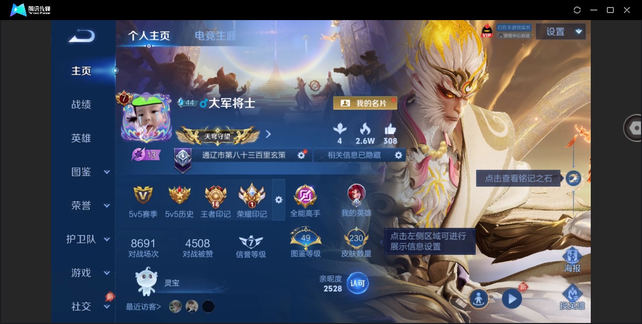 WZQM4380284王者荣耀账号详情图4