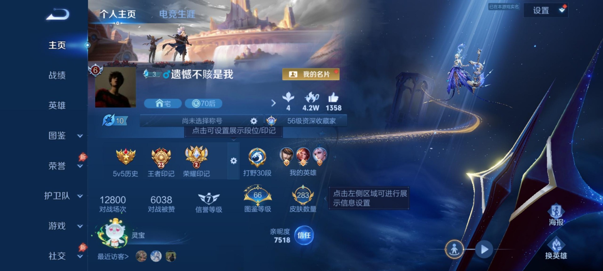 WZQM4357327王者荣耀账号详情图11