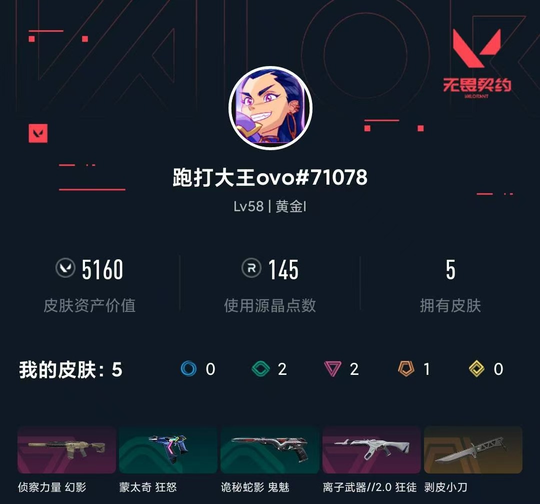 WWQLX441566无畏契约账号详情图2
