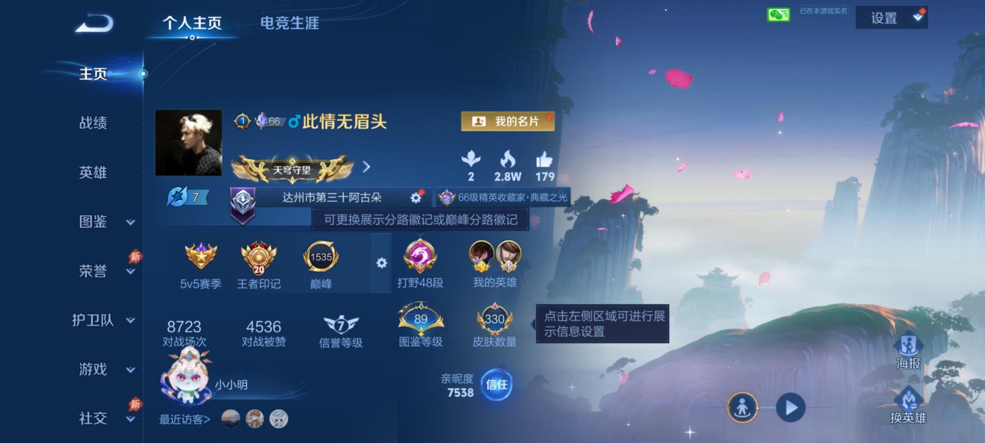 WZQM4373207王者荣耀账号详情图8