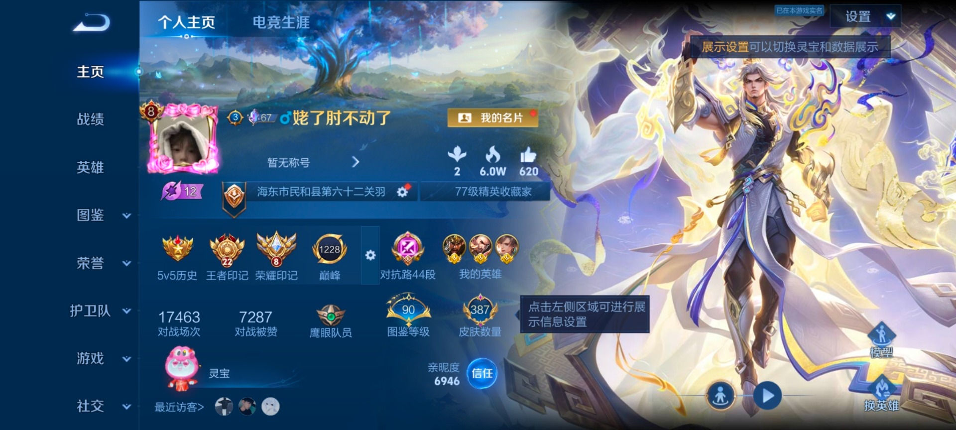 WZQM4373920王者荣耀账号详情图23