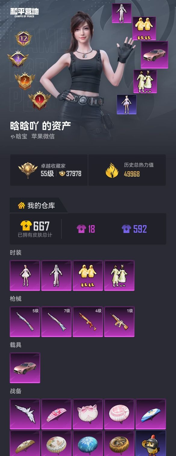 HPQM4264505和平精英账号详情图9