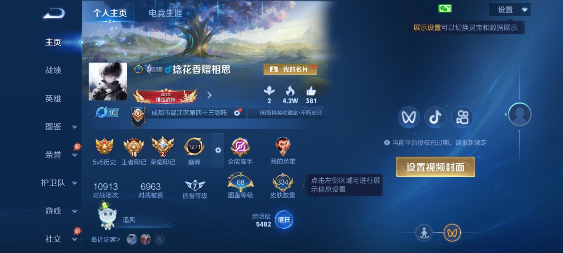 WZQM4476196王者荣耀账号详情图9 WZQM4476196王者荣耀账号详情图9