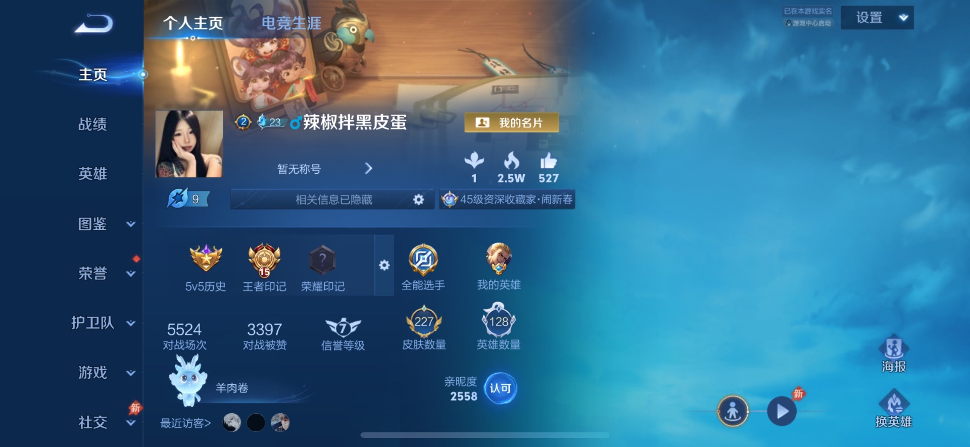 WZQM4435210王者荣耀账号详情图5 WZQM4435210王者荣耀账号详情图5