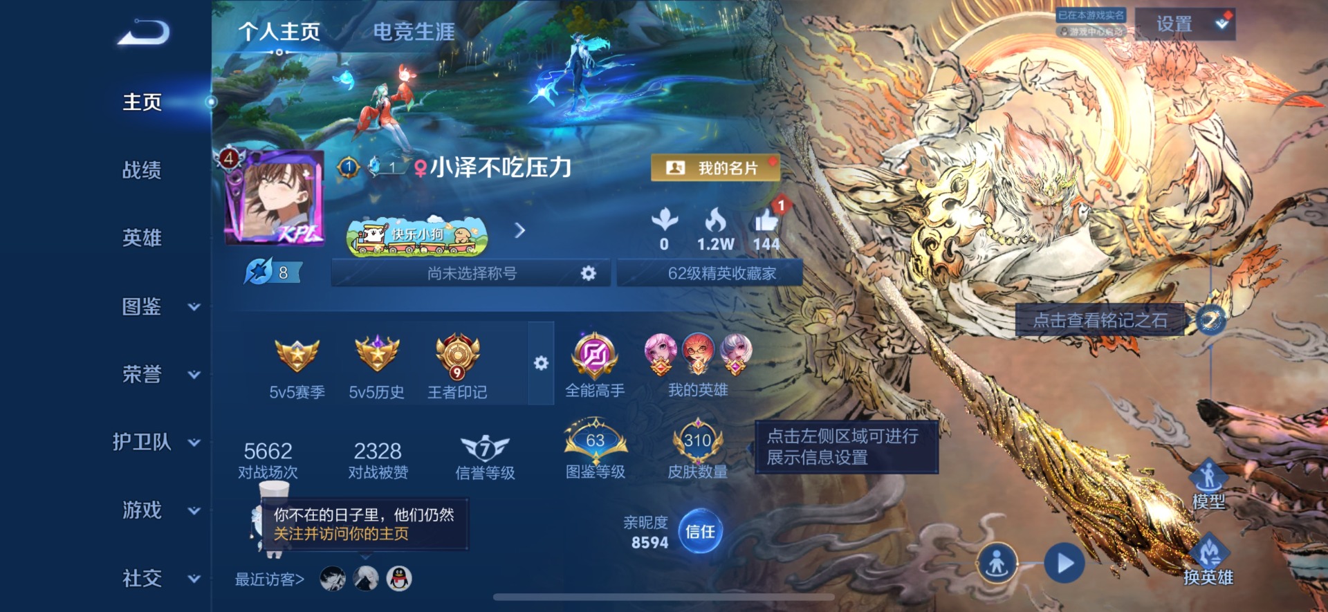 WZQM4460510王者荣耀账号详情图17 WZQM4460510王者荣耀账号详情图17