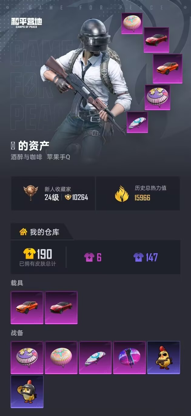 HPQM4264415和平精英账号详情图16