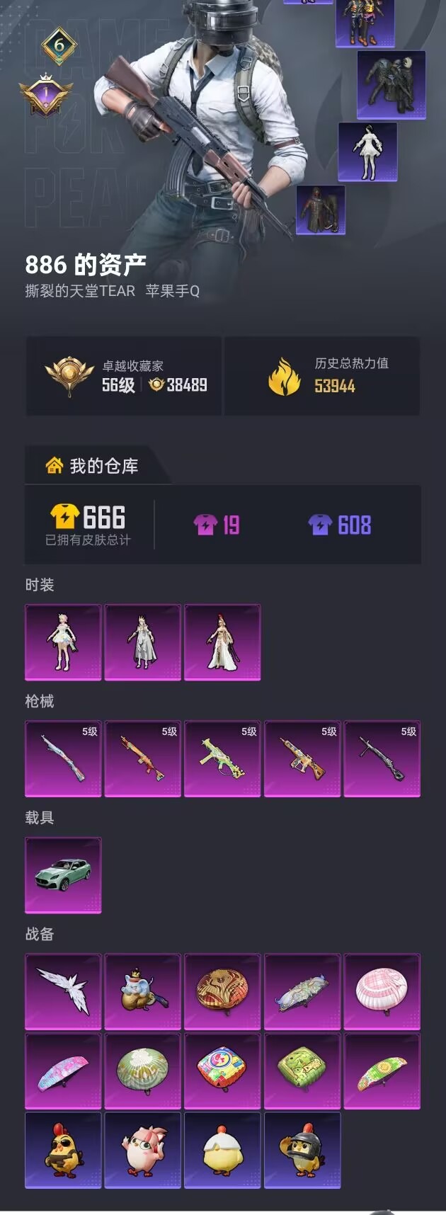 HPQM4263317和平精英账号详情图29
