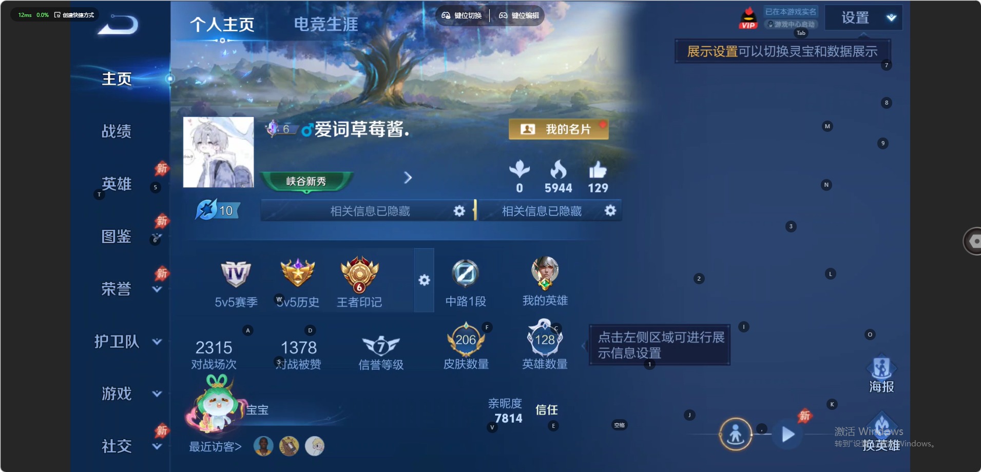 WZQM4509208王者荣耀账号详情图15 WZQM4509208王者荣耀账号详情图15