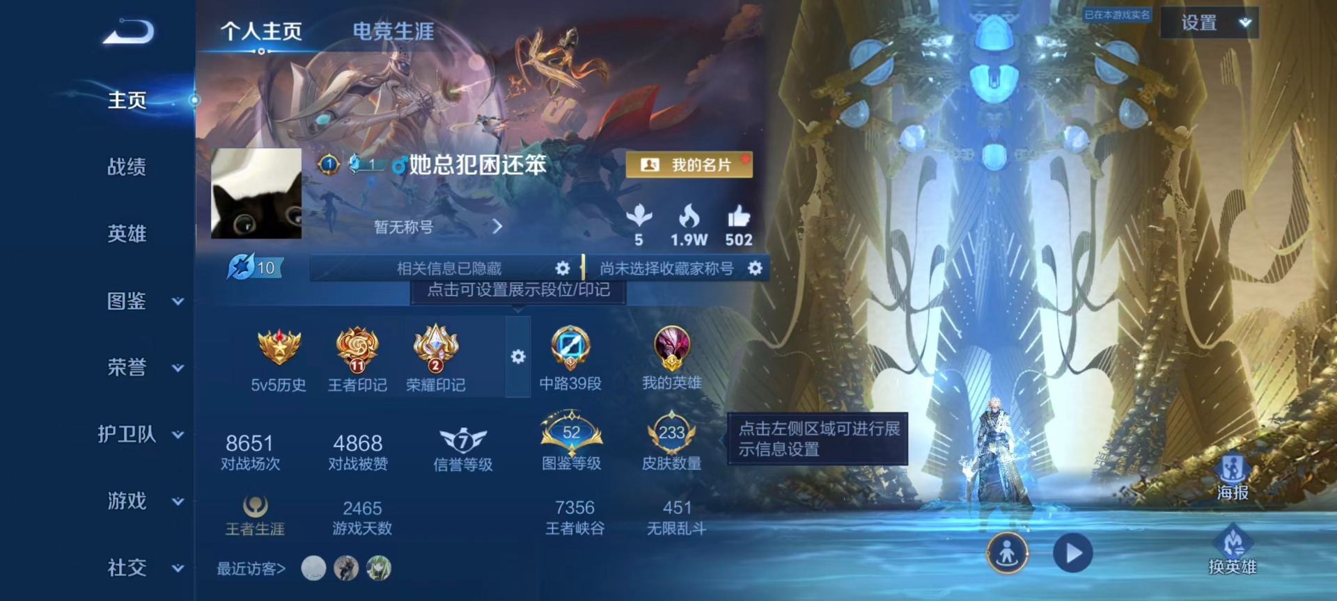 WZQM4489546王者荣耀账号详情图18 WZQM4489546王者荣耀账号详情图18