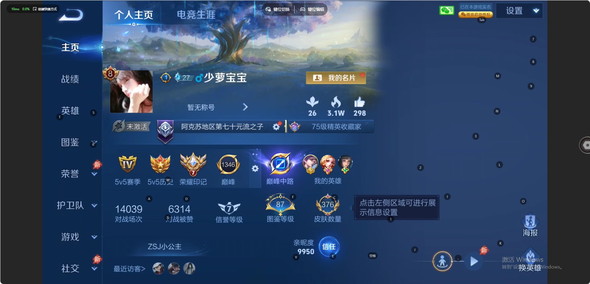 WZQM4477067王者荣耀账号详情图4