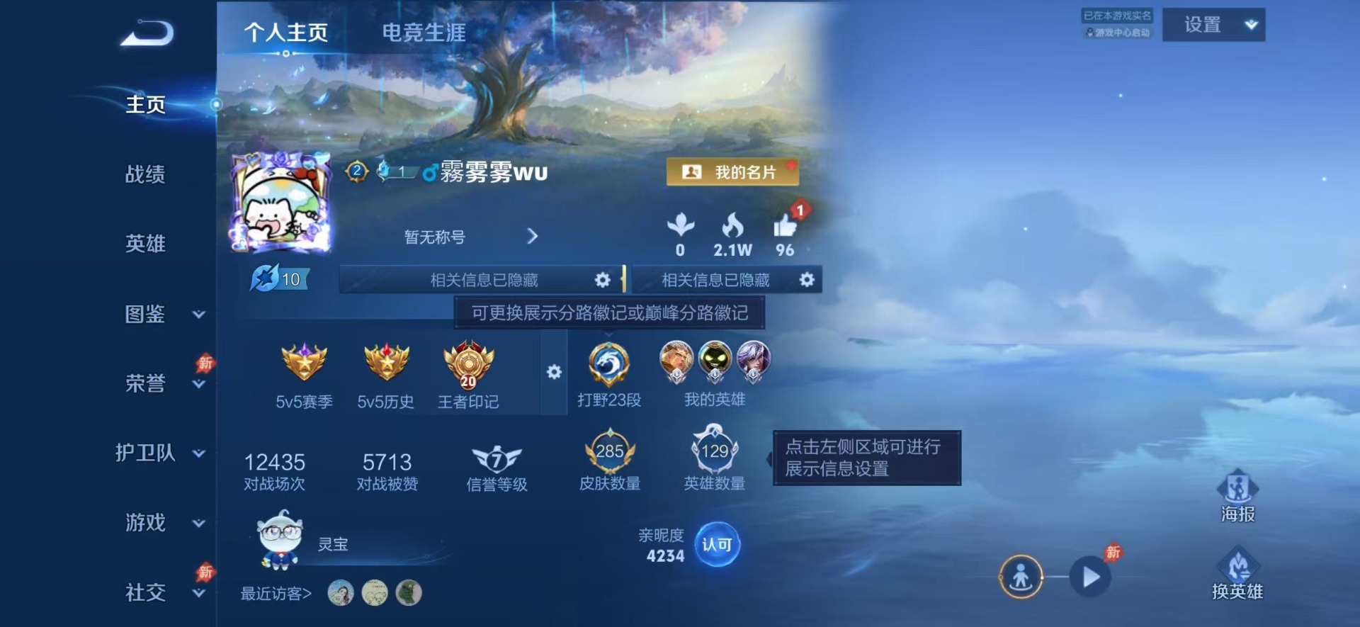 WZQM4499452王者荣耀账号详情图12