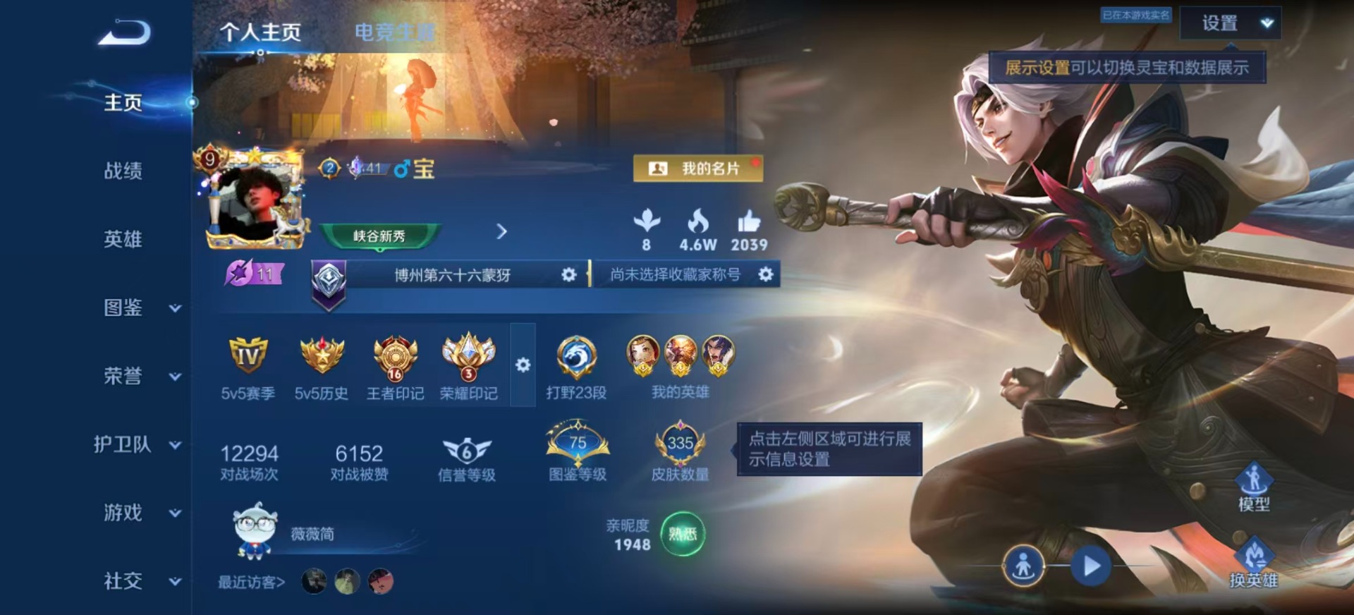WZQM4538067王者荣耀账号详情图16 WZQM4538067王者荣耀账号详情图16