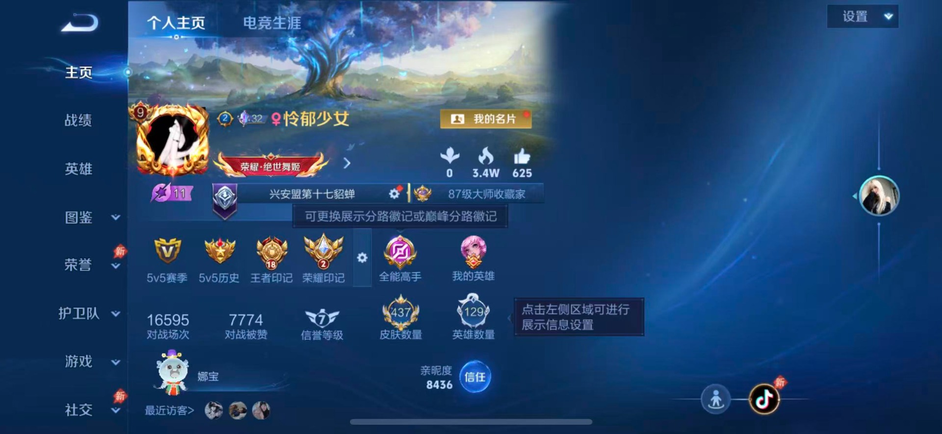 WZQM4490764王者荣耀账号详情图5 WZQM4490764王者荣耀账号详情图5