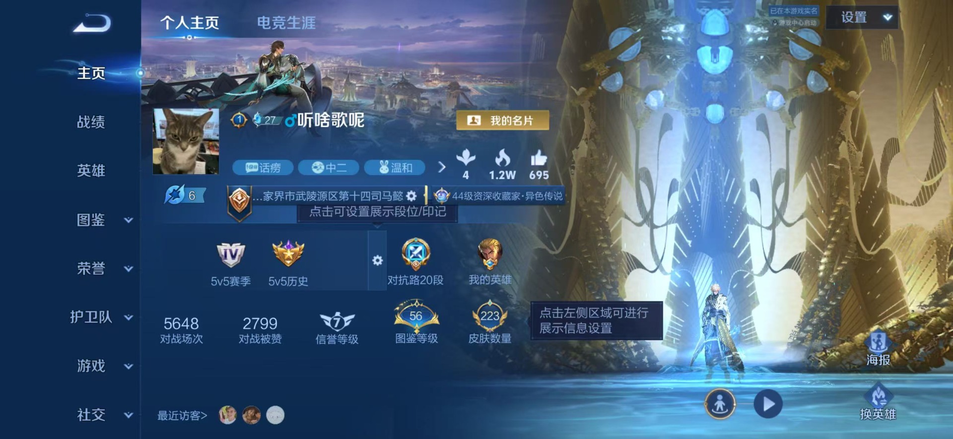 WZQM4520251王者荣耀账号详情图15 WZQM4520251王者荣耀账号详情图15