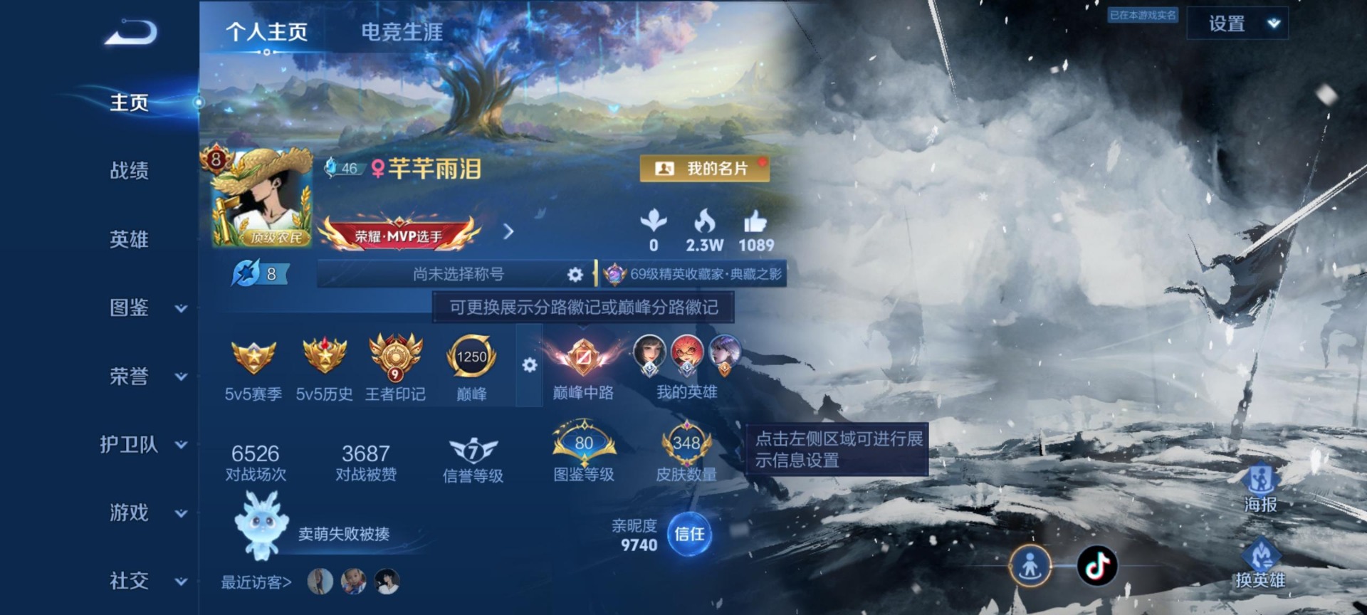 WZQM4506453王者荣耀账号详情图17 WZQM4506453王者荣耀账号详情图17