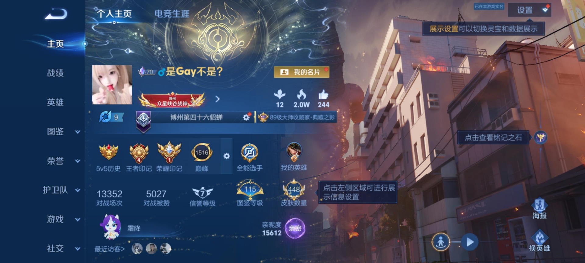 WZQM4517223王者荣耀账号详情图17