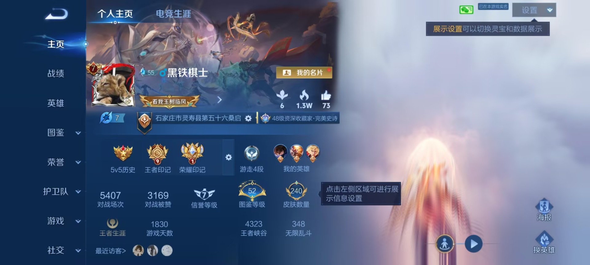 WZQM4513371王者荣耀账号详情图11 WZQM4513371王者荣耀账号详情图11