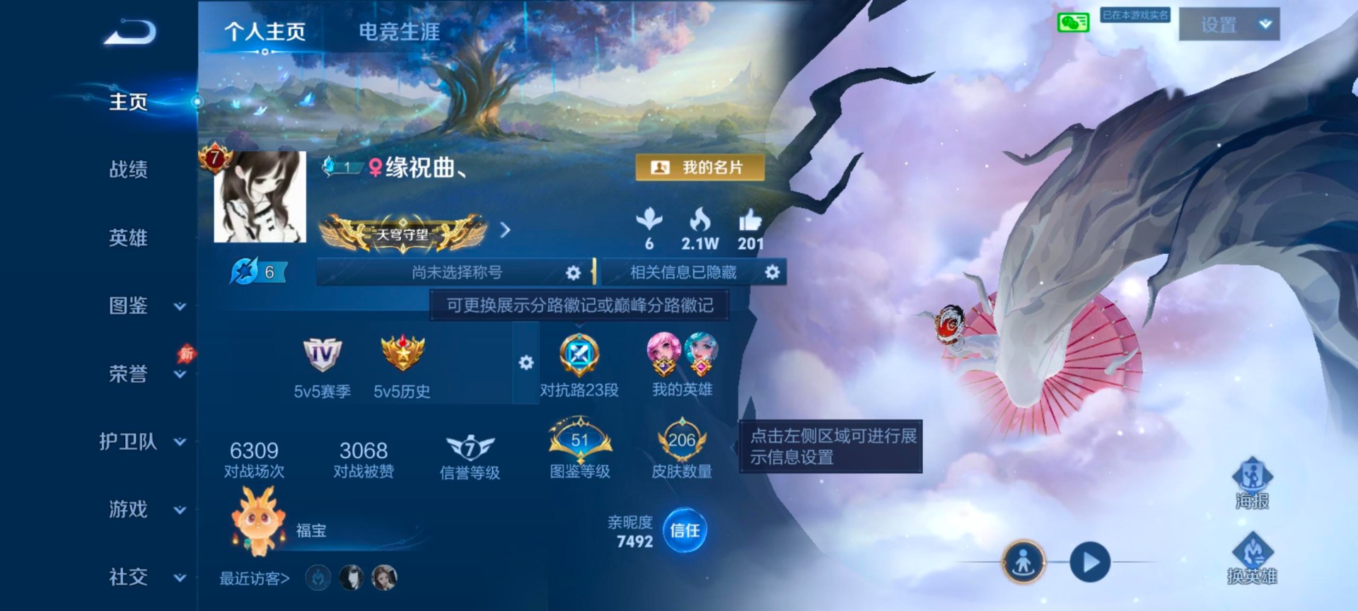WZQM4517789王者荣耀账号详情图5